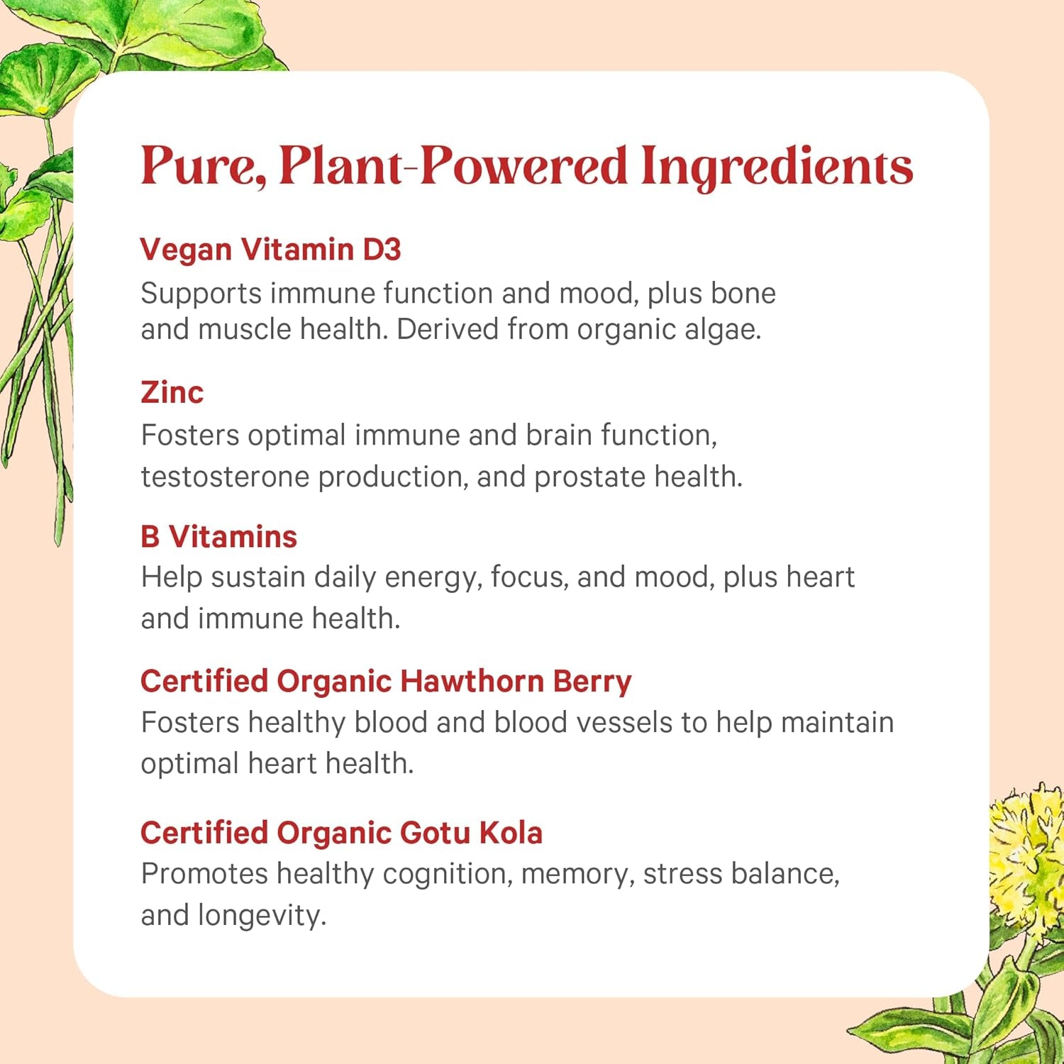 Vita·Min·Herb for Men | Men’S Comprehensive Multivitamin Supplement | Made with Organic Whole Food Non-Gmo Ingredients | Daily Energy & Immune Support (120 Tablets)